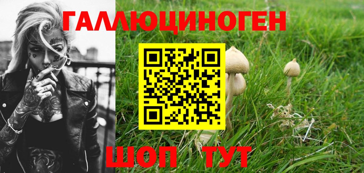 Псилоцибиновые грибы Psilocybine cubensis Новочебоксарск