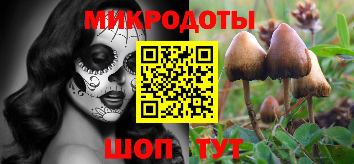 Псилоцибиновые грибы мицелий  Вход с VPN  Новочебоксарск 